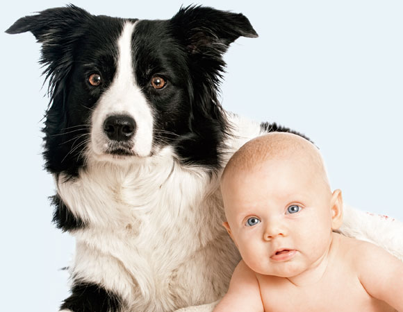 cachorro_e_criana_1