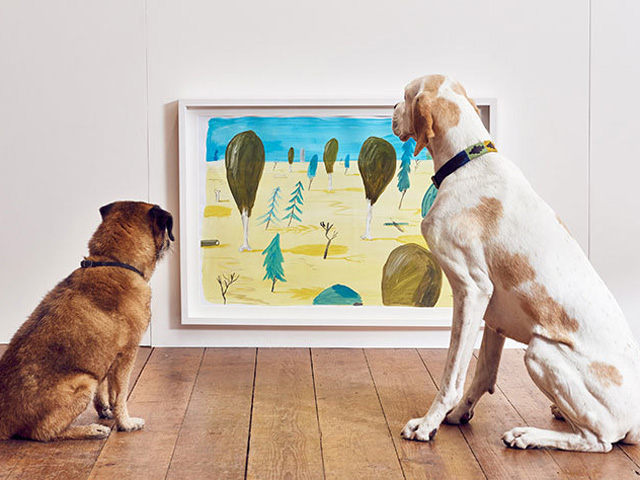 dogs-tamanho