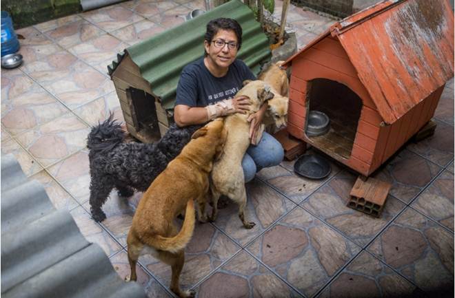 sc_florianopolis_protetora_abriga_animais_doentes_maltratados_2