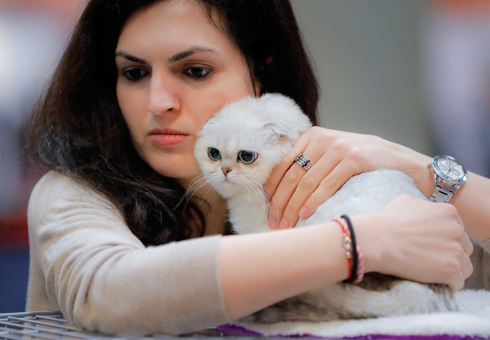 romania-international-fran