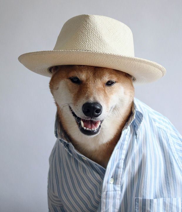 New York, NY-05/14/15 Menswear Dog Destination Wedding