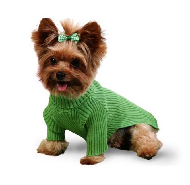 Roupas-para-Cachorros-Deixe-o-seu-pet-um-charme-só-3
