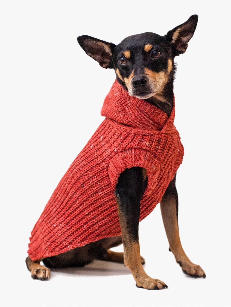 TPI001_ROUPA_PARA_CACHORRO_1024x1024