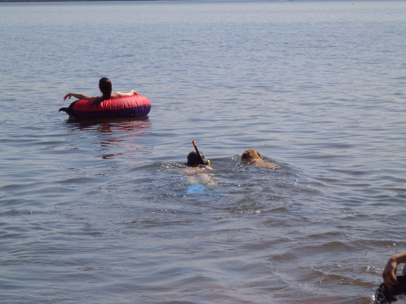 image001