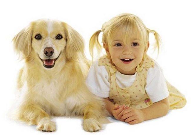 awebic-cachorros-e-donos-12 (1)