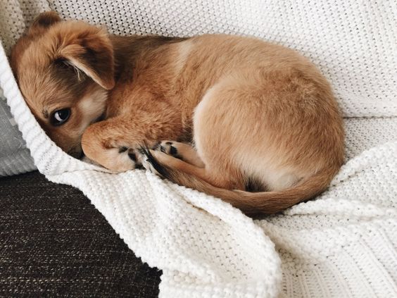67d0d37333e0af4703e07475821583f6