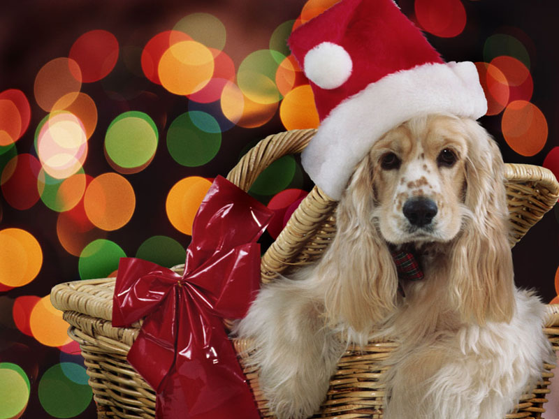 fondos-de-pantalla-de-navidad-animados-para-pc