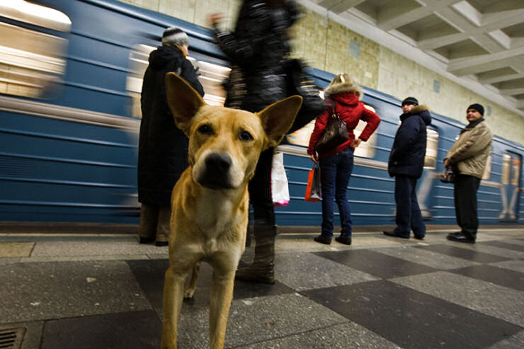 cao_metro_moscou_03