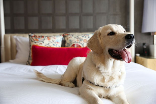 kimpton_seattle_1_alex