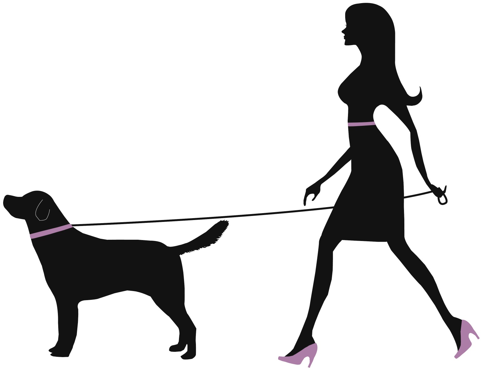 passeio-com-caes