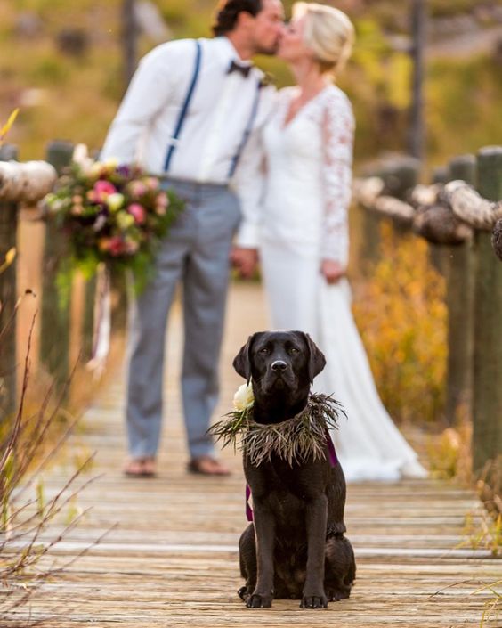 0ef61ad8914db574126f039cf06eab1b