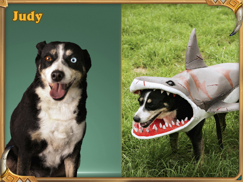 Shark_PetCosplay_Social_960x720