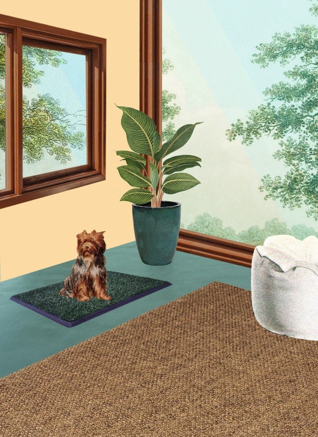 ilustracao-de-cachorro-em-tapete-na-porta-de-casa-casaejardim_pets_banheiro