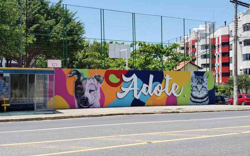 SC_florainopolis_grafite_escola_muro_124719