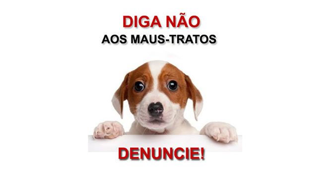 maus-tratos-de-animais-1-667x345