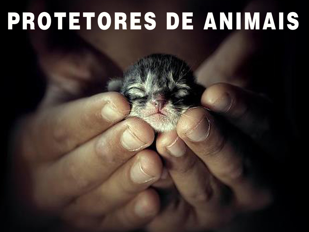 Mensagens-Sobre-Protetores-de-Animais-12
