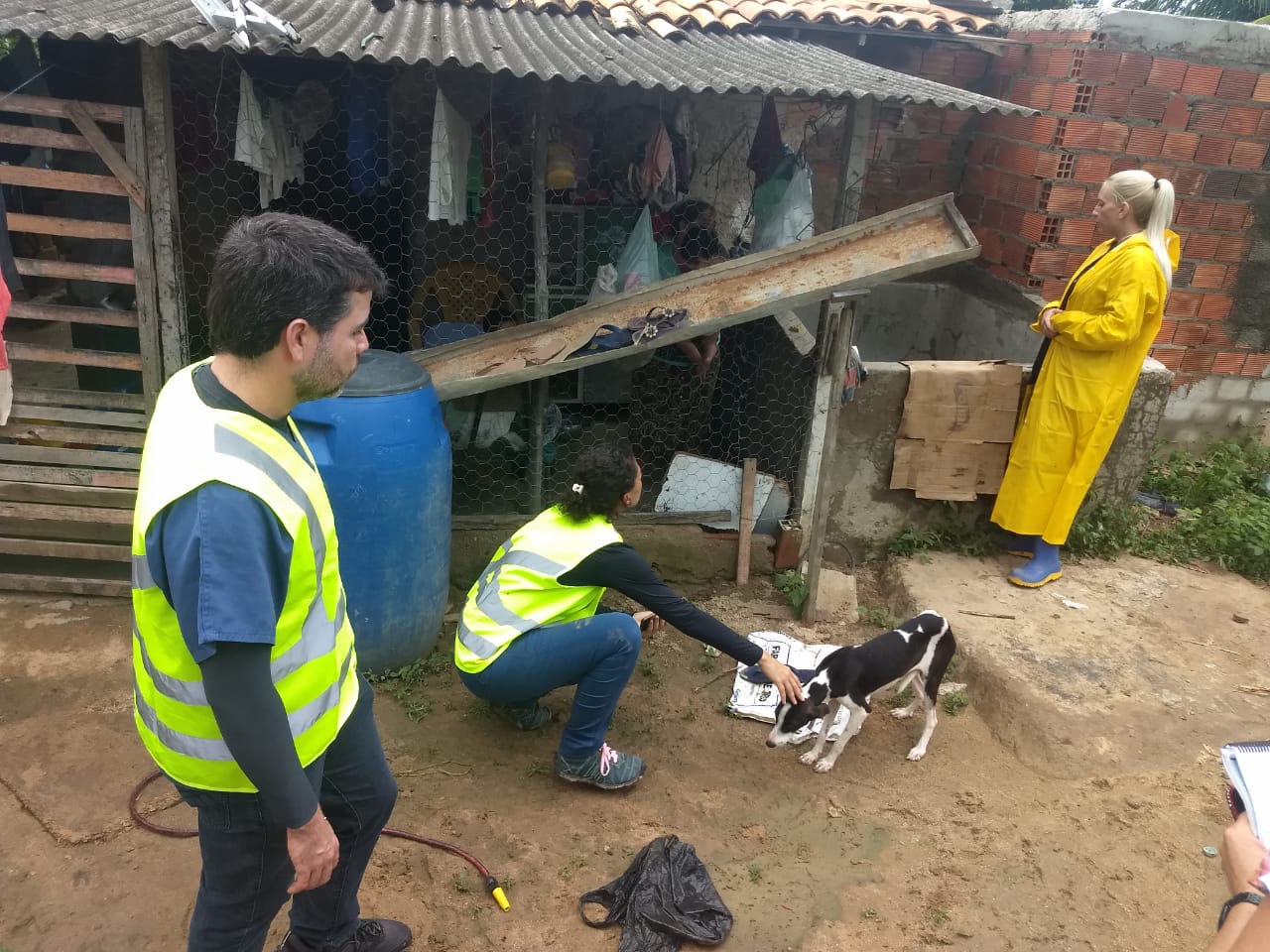 crmvba.org.br-forca-tarefa-atende-mais-de-300-animais-atingidos-por-rompimento-de-barragem-atendimento-forca-tarefa