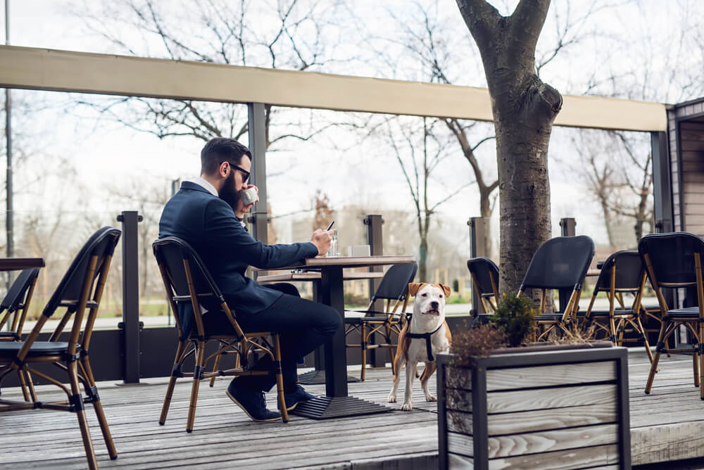 167867-pet-friendly-incorpore-esse-conceito-em-projetos-comerciais