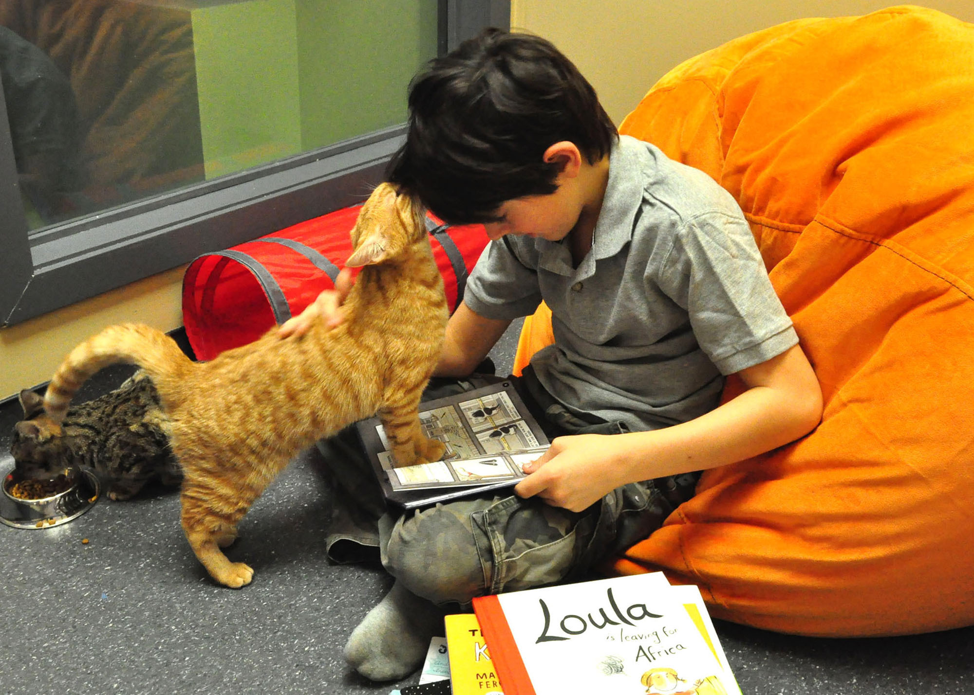 The Kitty-Litter-a-ture Program helps promote the adoption of homeless cats too! (CNW Group/Ontario Veterinary Medical Association)