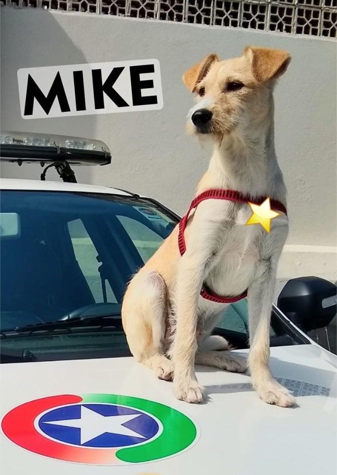 mike 3