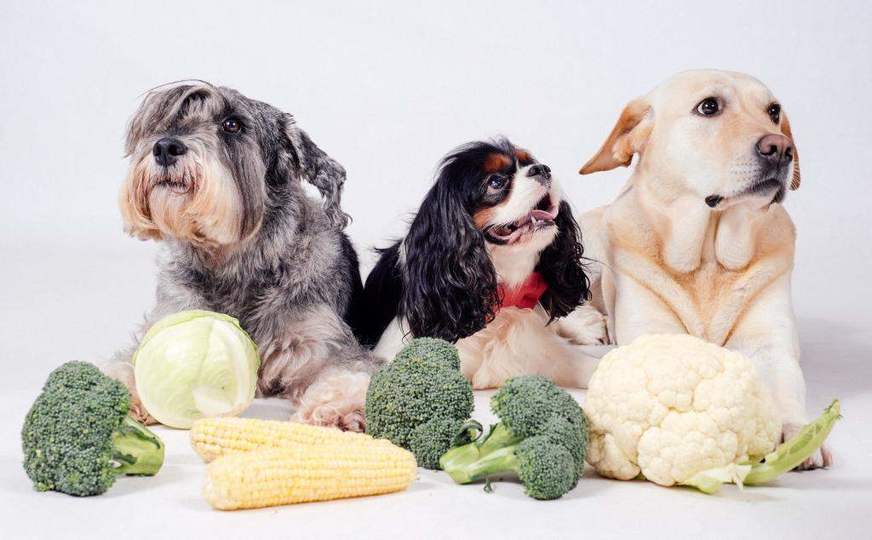 show_untitled-design-8_F8C0279C-CEA7-4048-9969-40BC1B364B59
