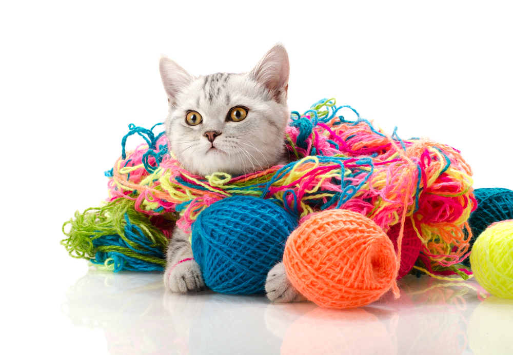 shutterstock_117976522