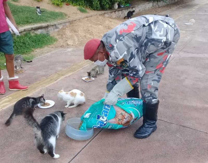 BA_salvador_voluntarios_animais_rua_0933