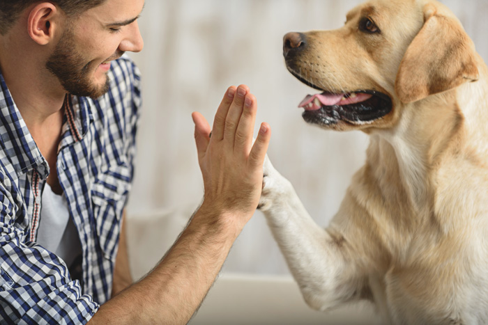 health-benefits-of-animal-assisted-therapy