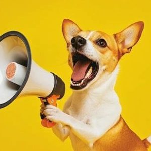 49ffc78ae3fa1c134e5b194cc0c3079c