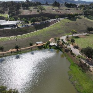 Bosque da Esperança