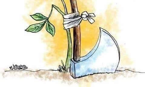 da8feeafabb9660d0e824f414df42c11