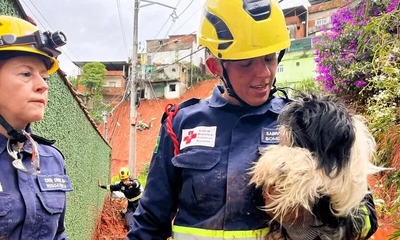 f910cfa1b928c8047f70342f03293ff0.caramelo