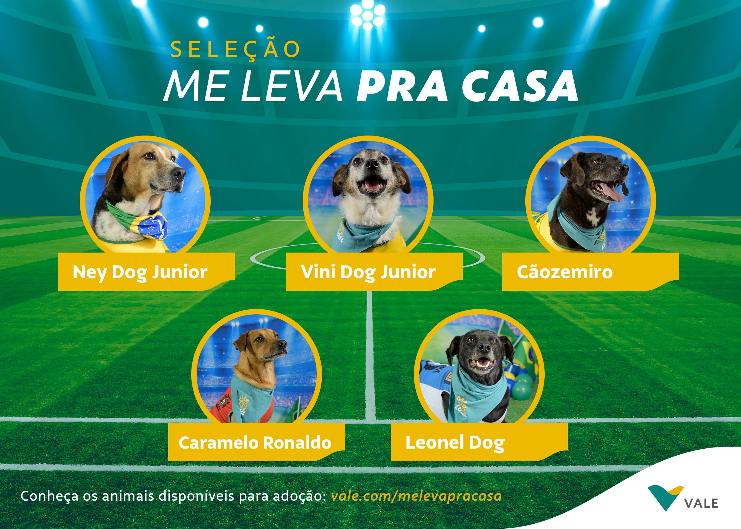 me leva pra casa
